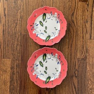 Anthropologie Lou Rota “Nature Table” 2 Plates